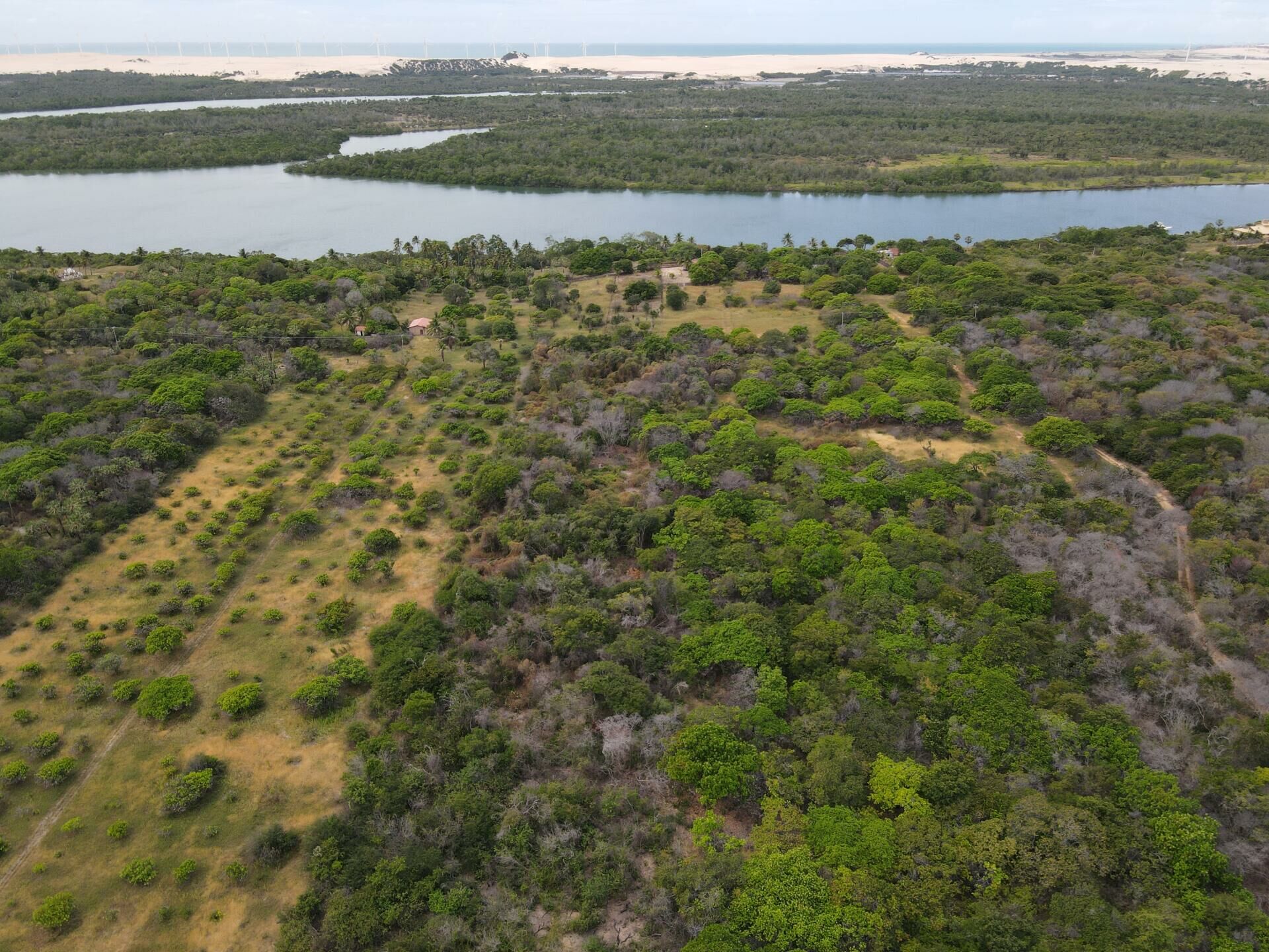 Imagem de Ilha fluvial cercada pelo Rio Jaguaribe em Fortim